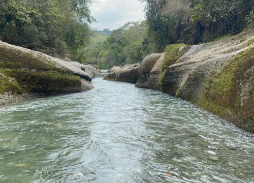 maravillas del guejar zaffari Colombia